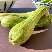 Load image into Gallery viewer, Grow Your Own Courgette Seeds Starter Kit
