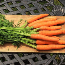 Load image into Gallery viewer, Grow Your Own Carrot Seeds Starter Kit
