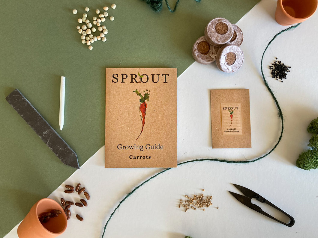 Grow Your Own Carrot Seeds Starter Kit