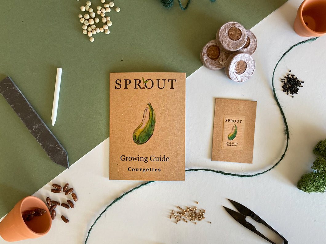 Grow Your Own Courgette Seeds Starter Kit