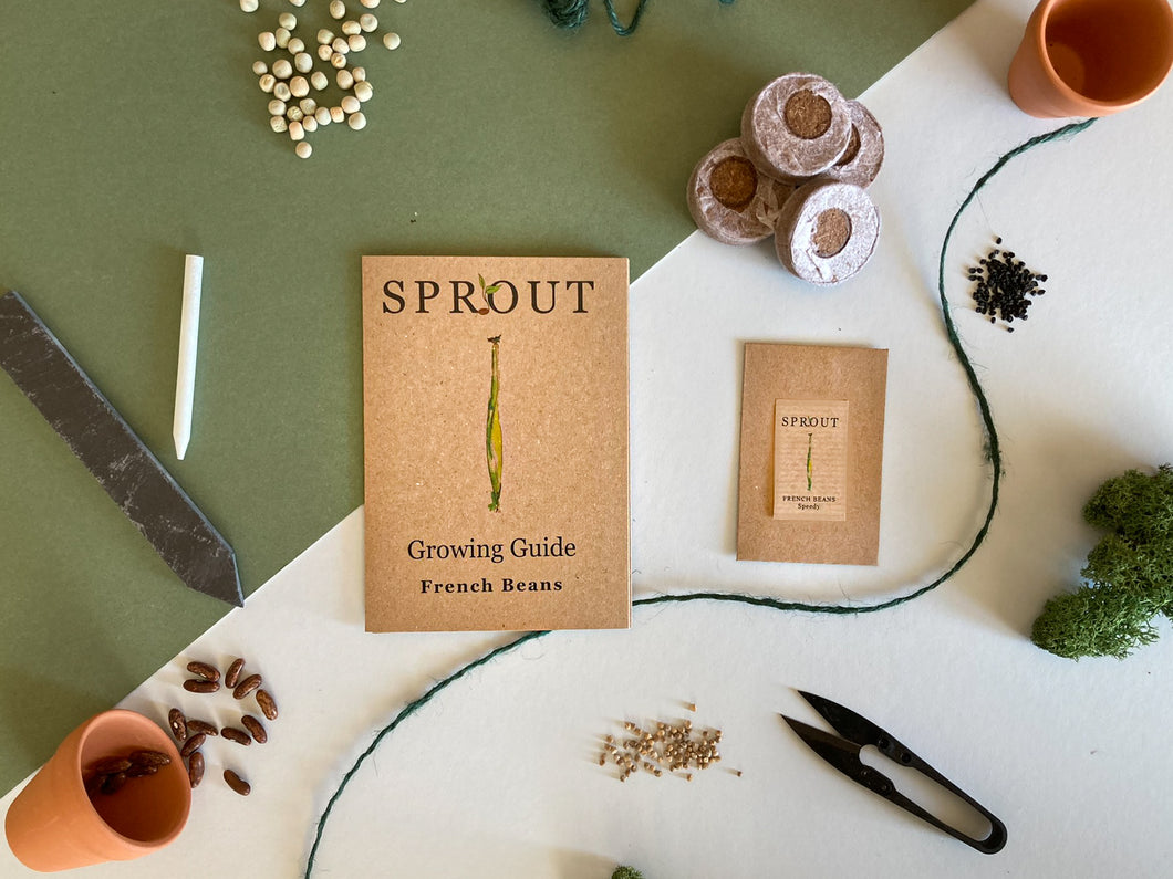 Grow Your Own French Bean Seeds Starter Kit
