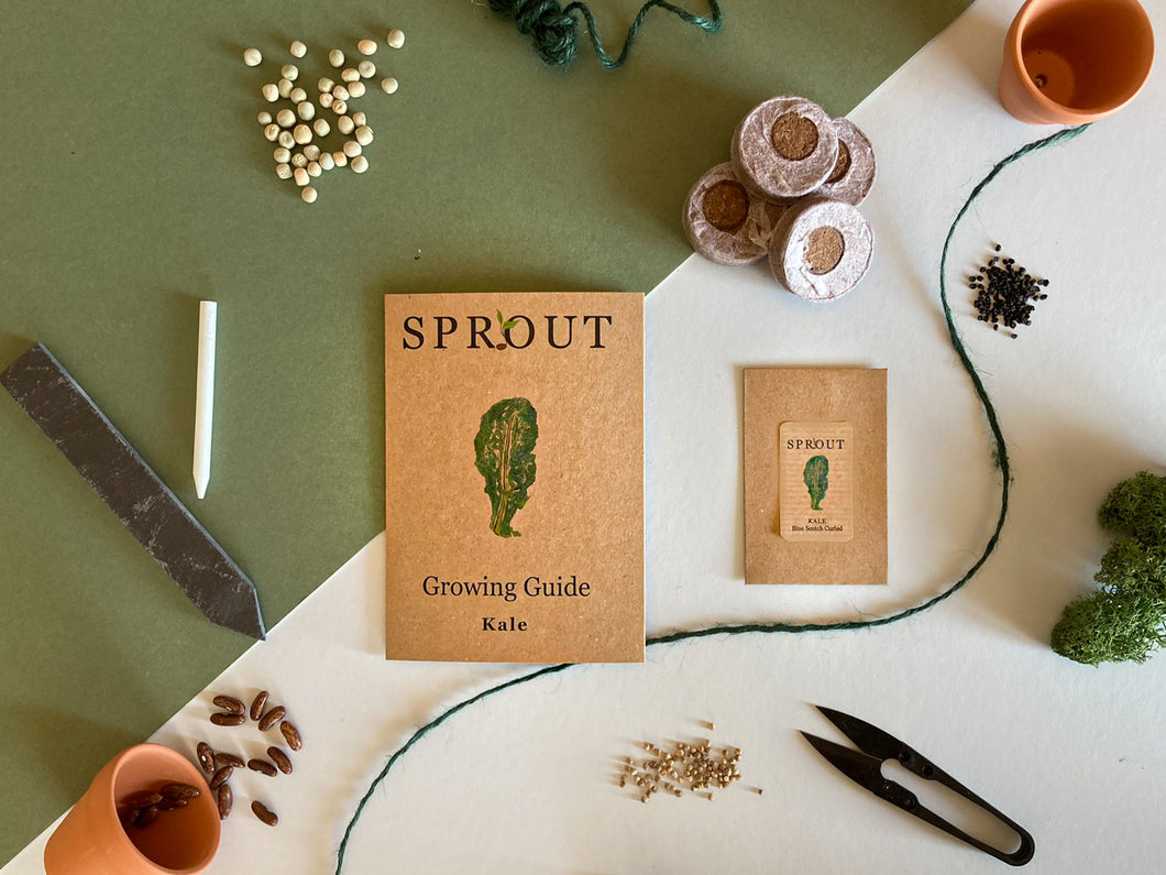 Grow Your Own Kale Seeds Starter Kit