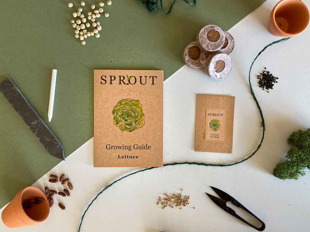 Grow Your Own Lettuce Seeds Starter Kit
