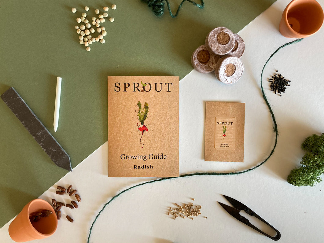 Grow Your Own Radish Seeds Starter Kit