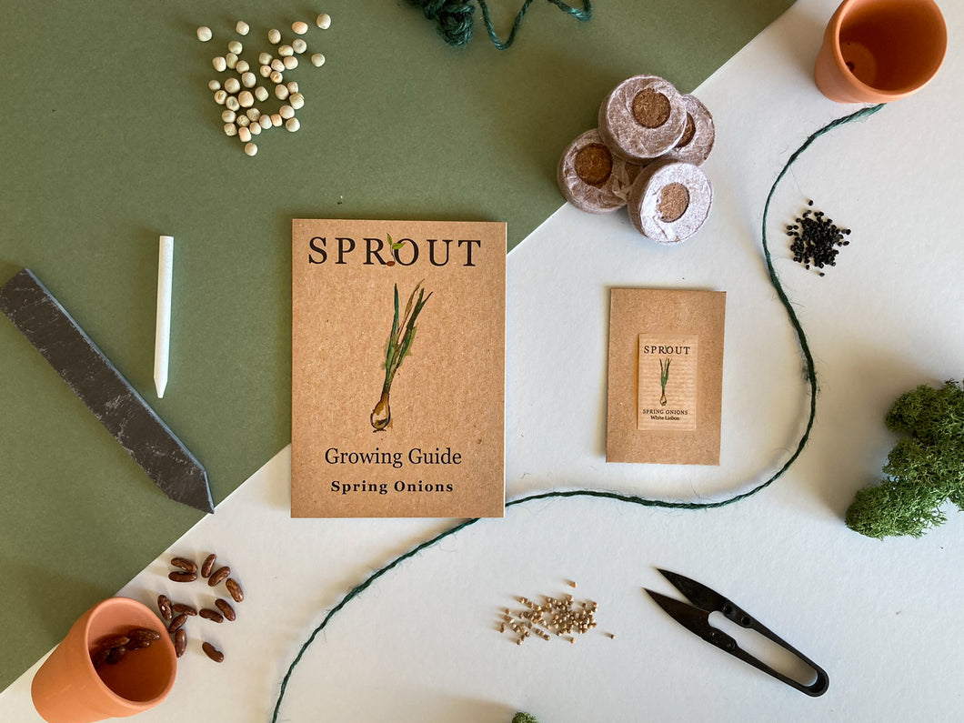 Grow Your Own Spring Onion Seeds Starter Kit