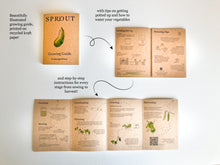 Load image into Gallery viewer, Grow Your Own Courgette Seeds Starter Kit
