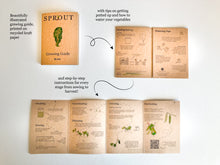 Load image into Gallery viewer, Grow Your Own Kale Seeds Starter Kit
